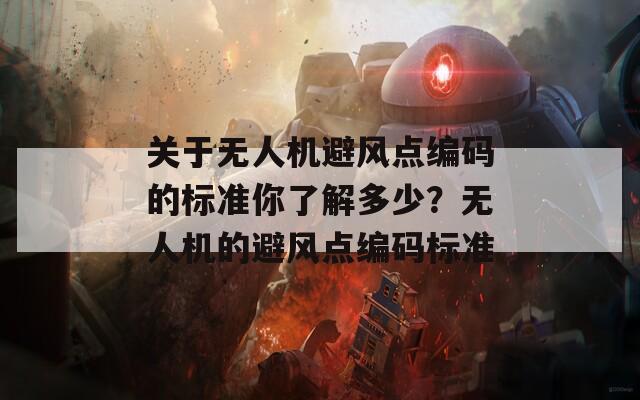 关于无人机避风点编码的标准你了解多少？无人机的避风点编码标准