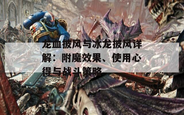 龙血披风与冰龙披风详解：附魔效果、使用心得与战斗策略