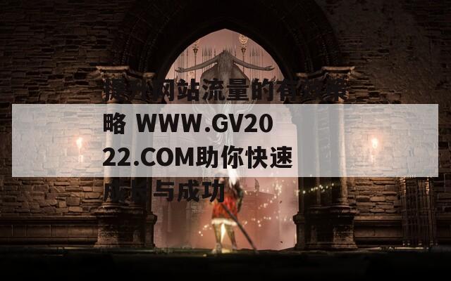 提升网站流量的有效策略 WWW.GV2022.COM助你快速成长与成功