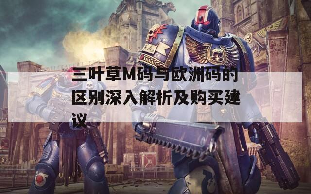 三叶草M码与欧洲码的区别深入解析及购买建议