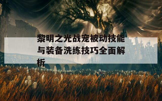 黎明之光战宠被动技能与装备洗练技巧全面解析