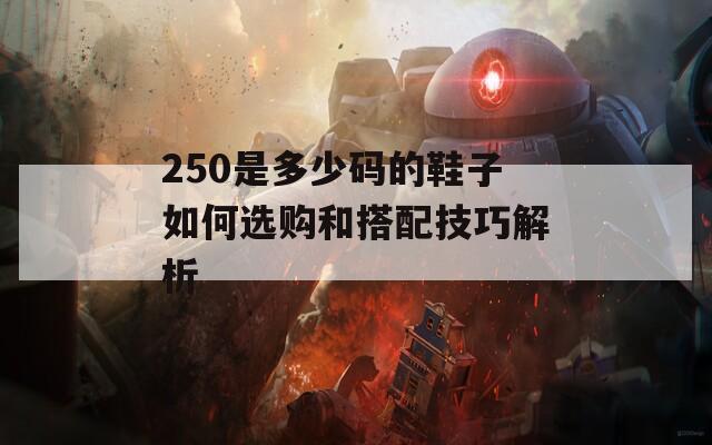 250是多少码的鞋子如何选购和搭配技巧解析