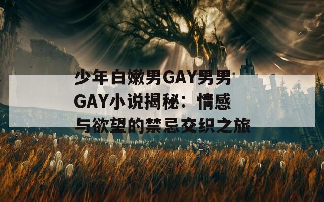 少年白嫩男GAY男男GAY小说揭秘：情感与欲望的禁忌交织之旅