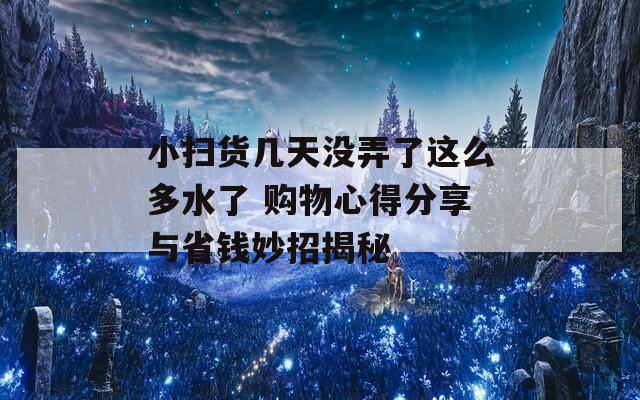 小扫货几天没弄了这么多水了 购物心得分享与省钱妙招揭秘