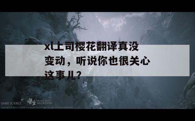 xl上司樱花翻译真没变动，听说你也很关心这事儿？