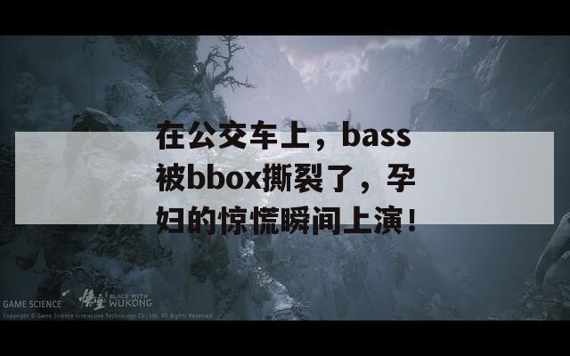 在公交车上，bass被bbox撕裂了，孕妇的惊慌瞬间上演！