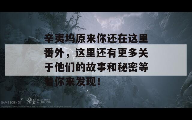 辛夷坞原来你还在这里番外，这里还有更多关于他们的故事和秘密等着你来发现！