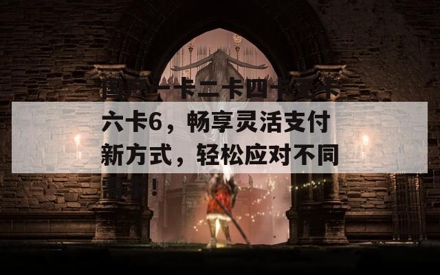 国产一卡二卡四卡无卡六卡6，畅享灵活支付新方式，轻松应对不同需求！