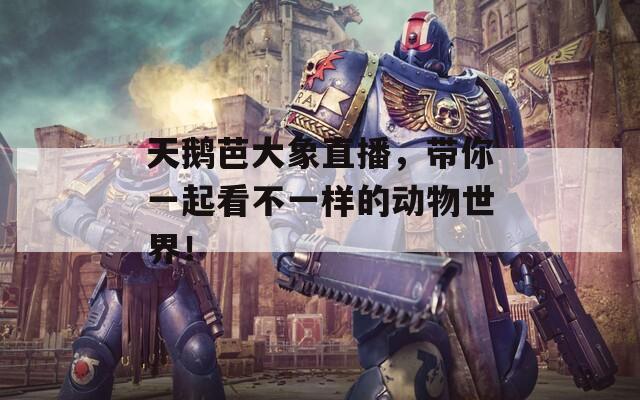 天鹅芭大象直播，带你一起看不一样的动物世界！