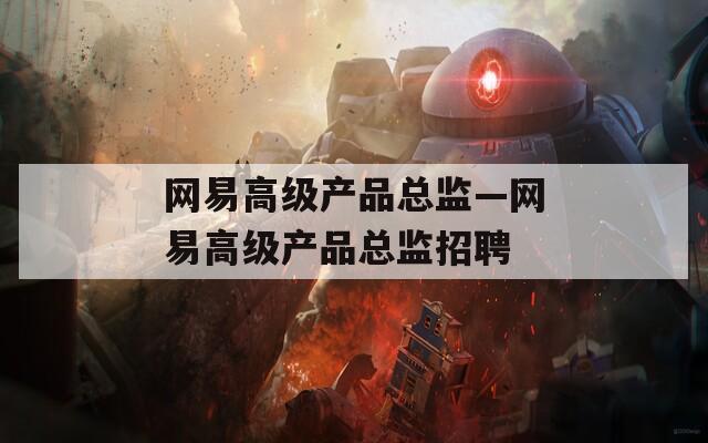 网易高级产品总监—网易高级产品总监招聘