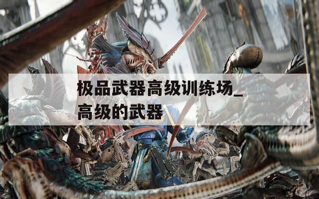 极品武器高级训练场_高级的武器